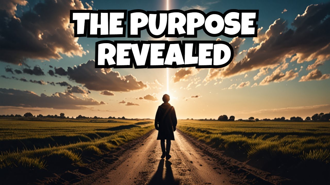 LIFE'S PURPOSE EXPOSED PREPARE TO BE AMAZED YouTube