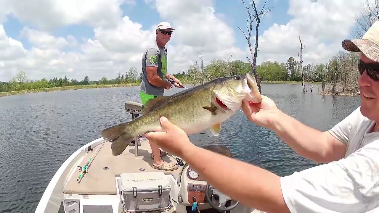 Episode # 4: Another Black Bass trip #fishing #bassfishing #nature #outdoors #arkansaswildlife