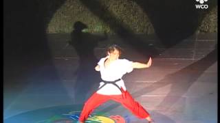 익스트림 마샬아츠 시범공연 5 @ 2004 월드컬쳐오픈 글로벌 페스티벌 by World Culture Open (WCO)