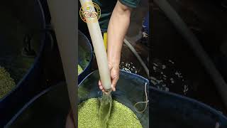 how to make the bursts of water come out bloom