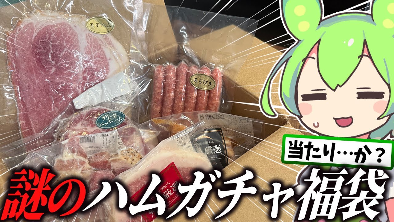 訳あり秘密のハム袋って実際どうなの？【ずんだもん】