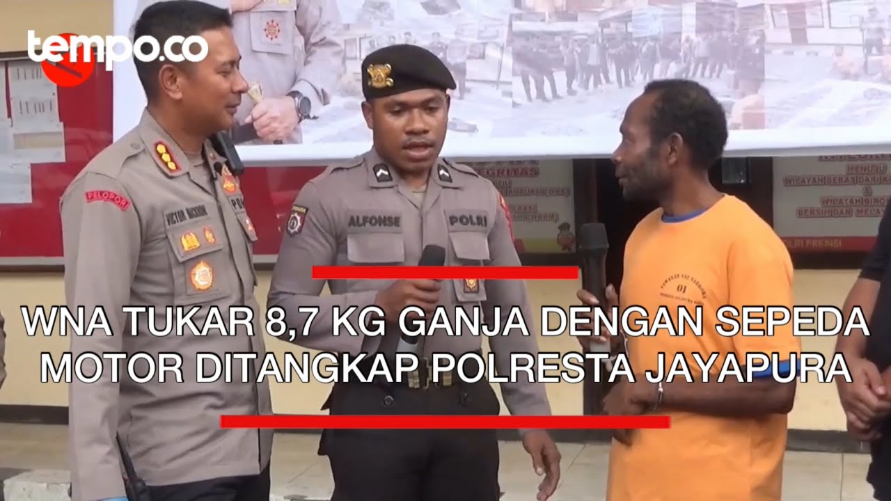 WNA di Jayapura Ditangkap Polisi Karena Tukar 8.7 Kilogram Ganja dengan Sepeda Motor