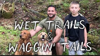 Rainy Day Wilderness Hike in Danville, PA | Exploring Forests & Creeks with Golden Retrievers in 4K