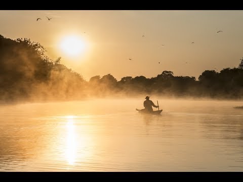 Brasilien - Der Tag bricht an am Amazonas | HD | ARTE | Doku