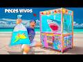 Compré una Máquina de Garra de Peces Vivos...