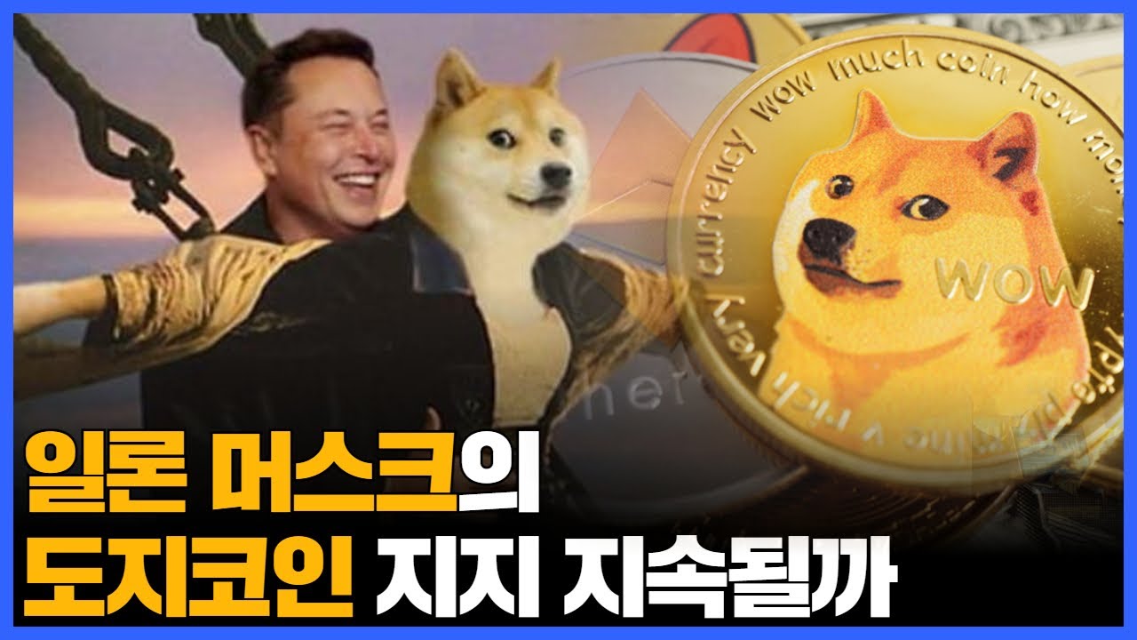 일론 머스크의 도지코인 지지 지속될까