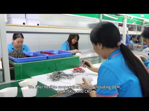 Professional OEM ODM CKD Factory of BP Monitor, Nebulizer, IR Thermometer.