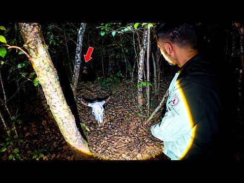 FOMOS EXPULSOS A TIROS DA FLORESTA NEGRA! 😱