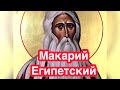 Преподобный Макарий Великий Египетский. История жизни и смерть святого. Труды и учения. Отшельник