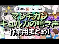 キュルガの鳴き声まとめ【夜は猫といっしょ：キュルガ切り抜き（字幕付）】