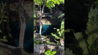 THIS is a TULUM CENOTE 🤩