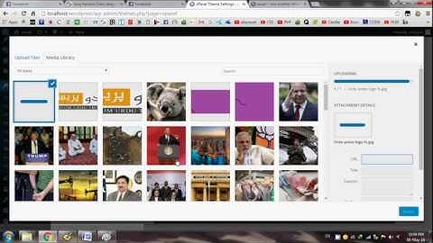 Urdu Press Theme WordPress - Header Logo Space Increase - WordPress Theme Customization