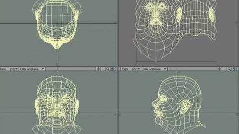 LightWave UV map for a head