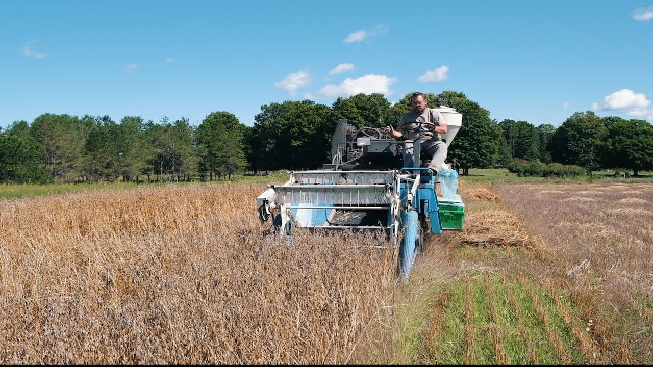 Oat and Barley Variety Trials - 2022