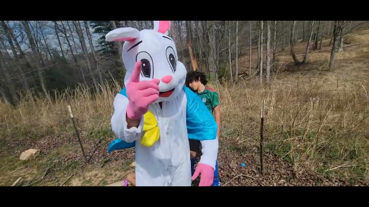 Nibbles the Bunny - YouTube