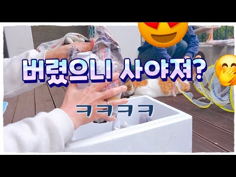 선반이 많이 비었습니다, 그래서 샀습니다 ㅋㅋㅋ   