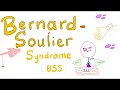 Bernardsoulier syndrome bss