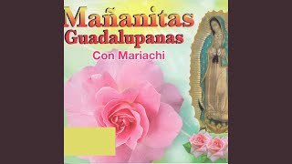 Ave Maria