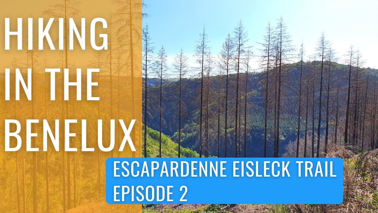 Escapardenne Eisleck Trail Solo Hike Ep2 - crossing the border and first night hike into Houffalize