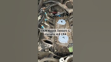 OEM knock sensors and harness 4.8 LR4 P0332 P0327 #shorts #silverado #gen3