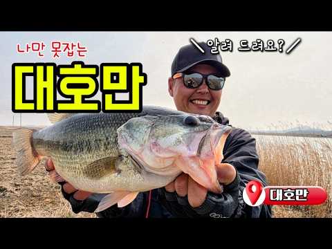 대호만에서 나만 못잡는다면 꼭 보세요~!! #배스낚시 #bassfishing #대호만