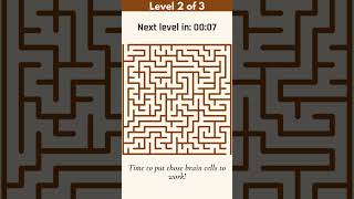 Can You Solve All 3 Maze Puzzles in 60 Seconds? 🧠🔥