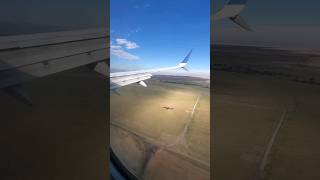 Landing - Denver #flight #travel #airport #DEN #flying #vlog #traveling #asmr #trending #viral