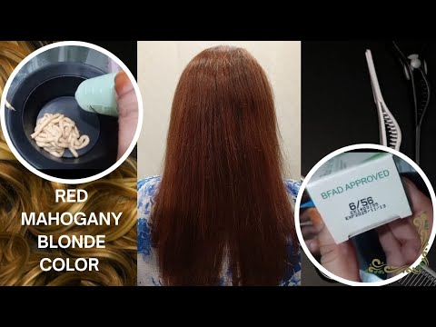 Red Mohagnay/ blond / hair color/ tatoriel