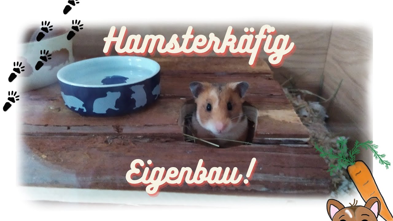 Hamsterkäfig selbst bauen