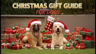 Best Gifts for Dogs and Dog Lovers - 2025 Holiday Edition