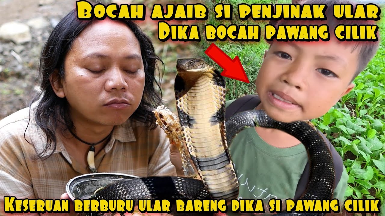 DIKA BOCAH PAWANG ULAR DARI JAWABARAT
