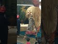 Sang Singo Barong Haji Bolhot 28 Kuy