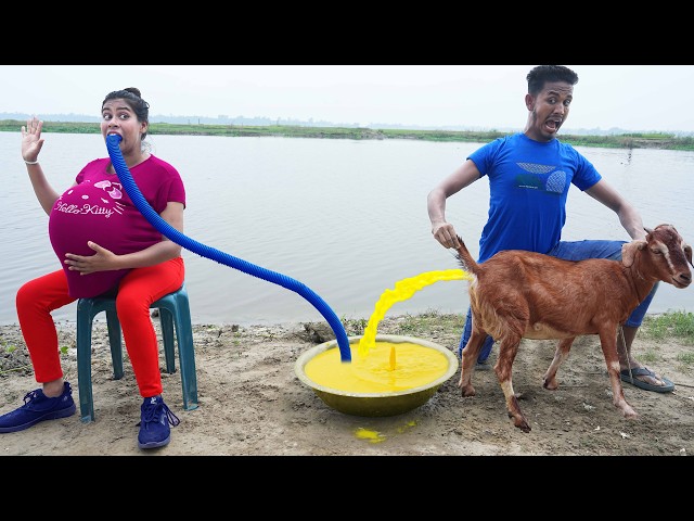 Funniest Fun New Comedy Video 2026 😂 amazing best of funny video Episode 279 By Our Fun Tv