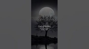 اكتب شيء تؤجر عليه 🤎🎧 #القارئ ياسر الدوسري