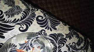 Female Moaning While Eating Cheetos