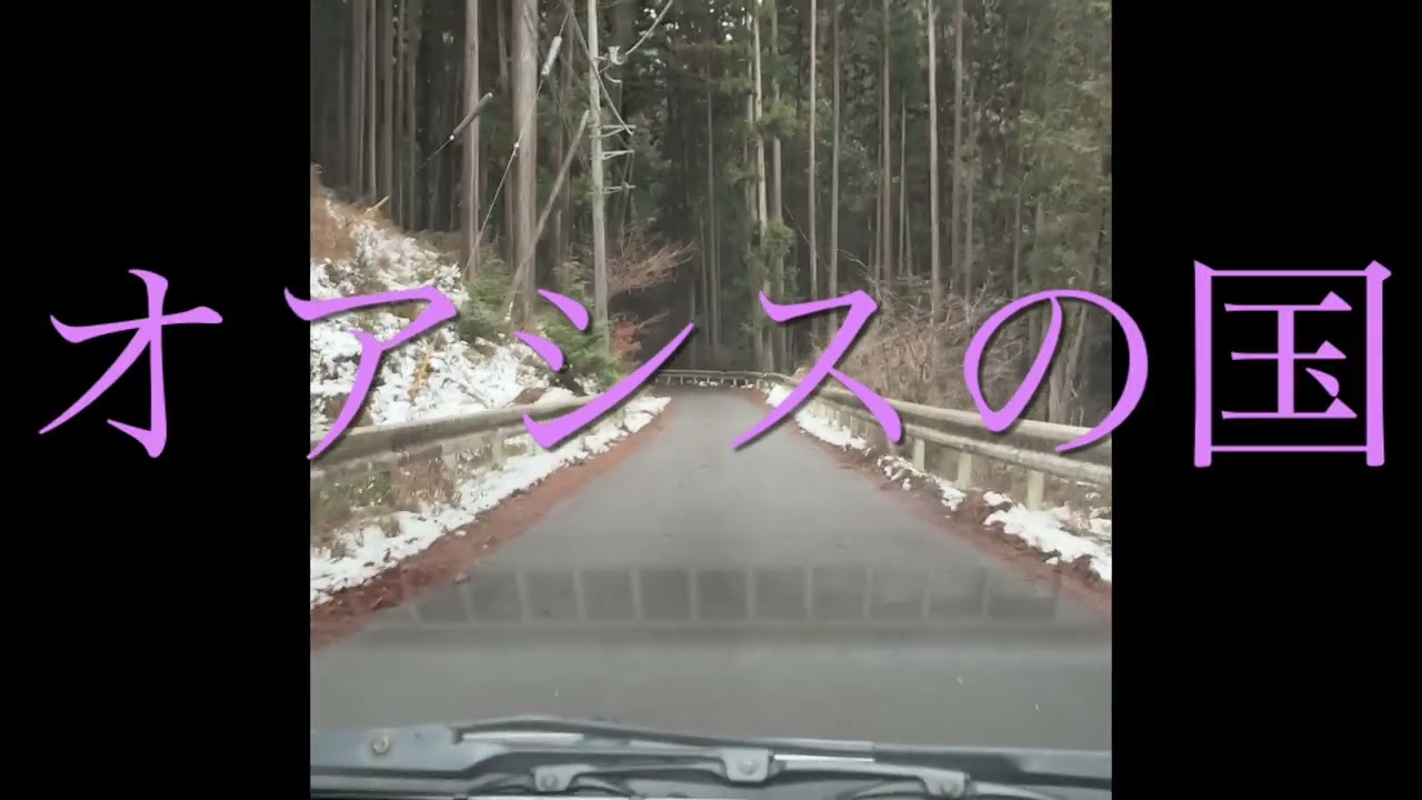 尊敬するジャーナリスト先生に逢いたい。ただ逢いたくて、逢いたくて‥