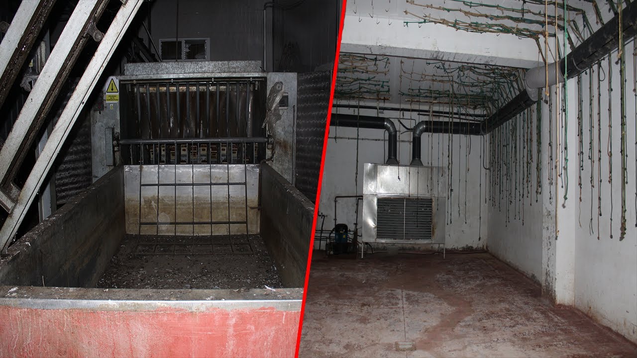 El MATADERO abandonado MÁS DURO y ENORME (Intacto)