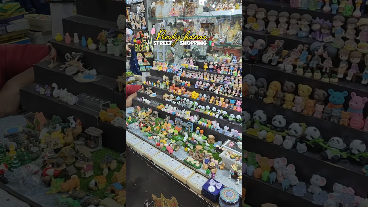 Pondy bazaar 🛍️🌸🌿|street shopping