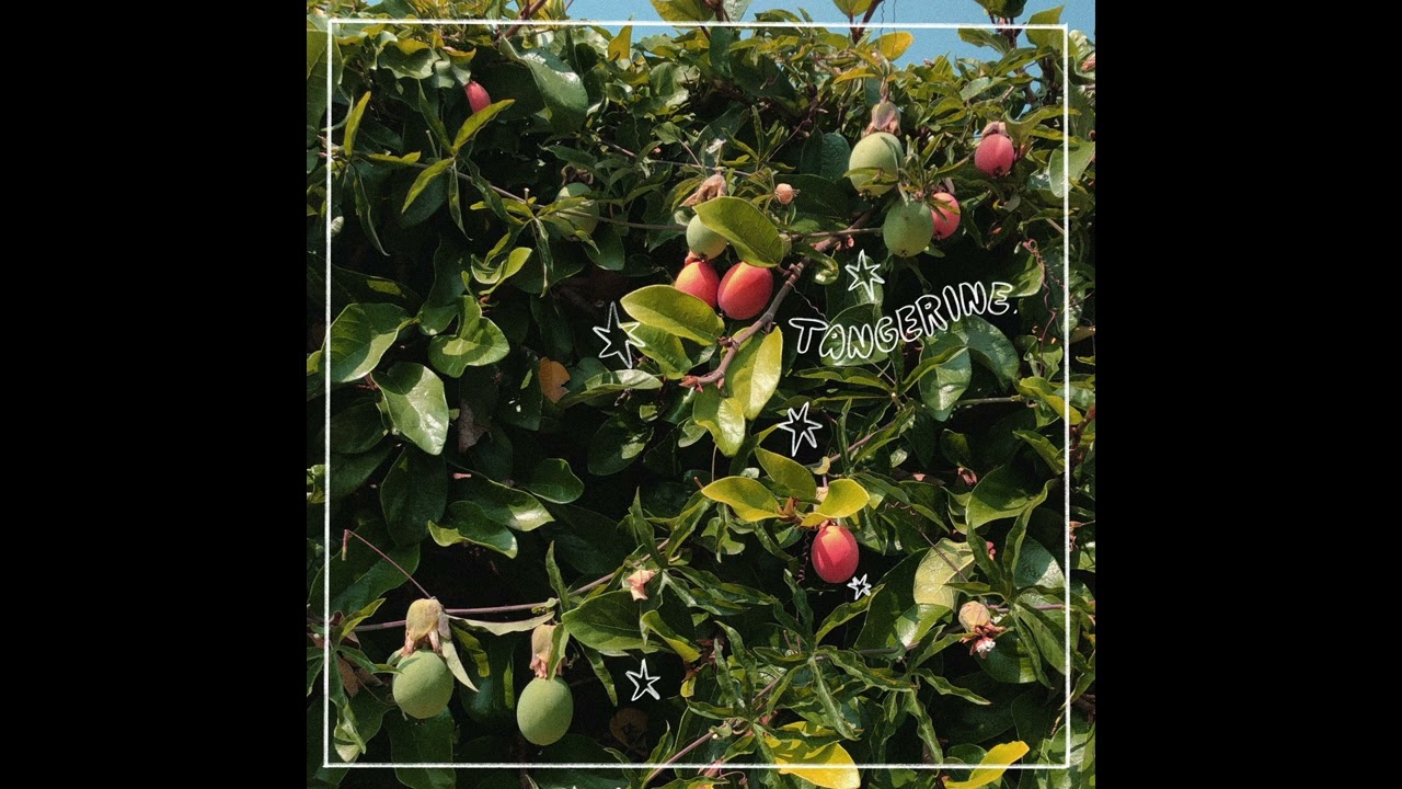 intrepid.fox, Mild Temperance - Tangerine (Official Audio)