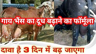 गाय भैंस का दूध बढ़ाने का फॉर्मूला || Cow Buffalo Milk Increase Formula || दूध बढ़ाने के देशी उपाय