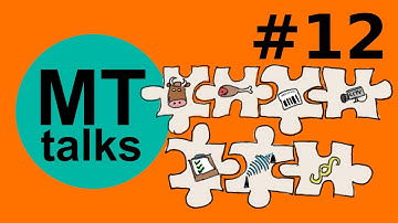 Rich Vocabulary - Rindfleischetikettierungsgesetz | MT talks #12