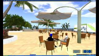 Interview in Second Life with Anders Gronstedt