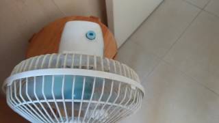 Tutto Clip Fan By Bedrooms