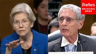 ‘Why Are Older Americans Particularly Vulnerable?’: Elizabeth Warren Grills Expert On Crypto Scams
