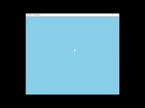 turtle.mp4