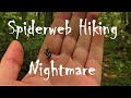 Spiderweb Hiking Nightmare ~ Frank Masland Natural Area, PA