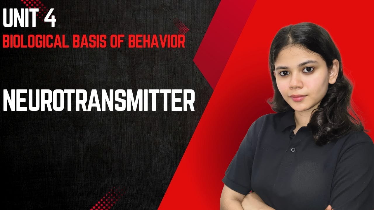 Neurotransmitters | Unit 4 Biological Basis of Behavior | UGC NET DECEMBER 2025