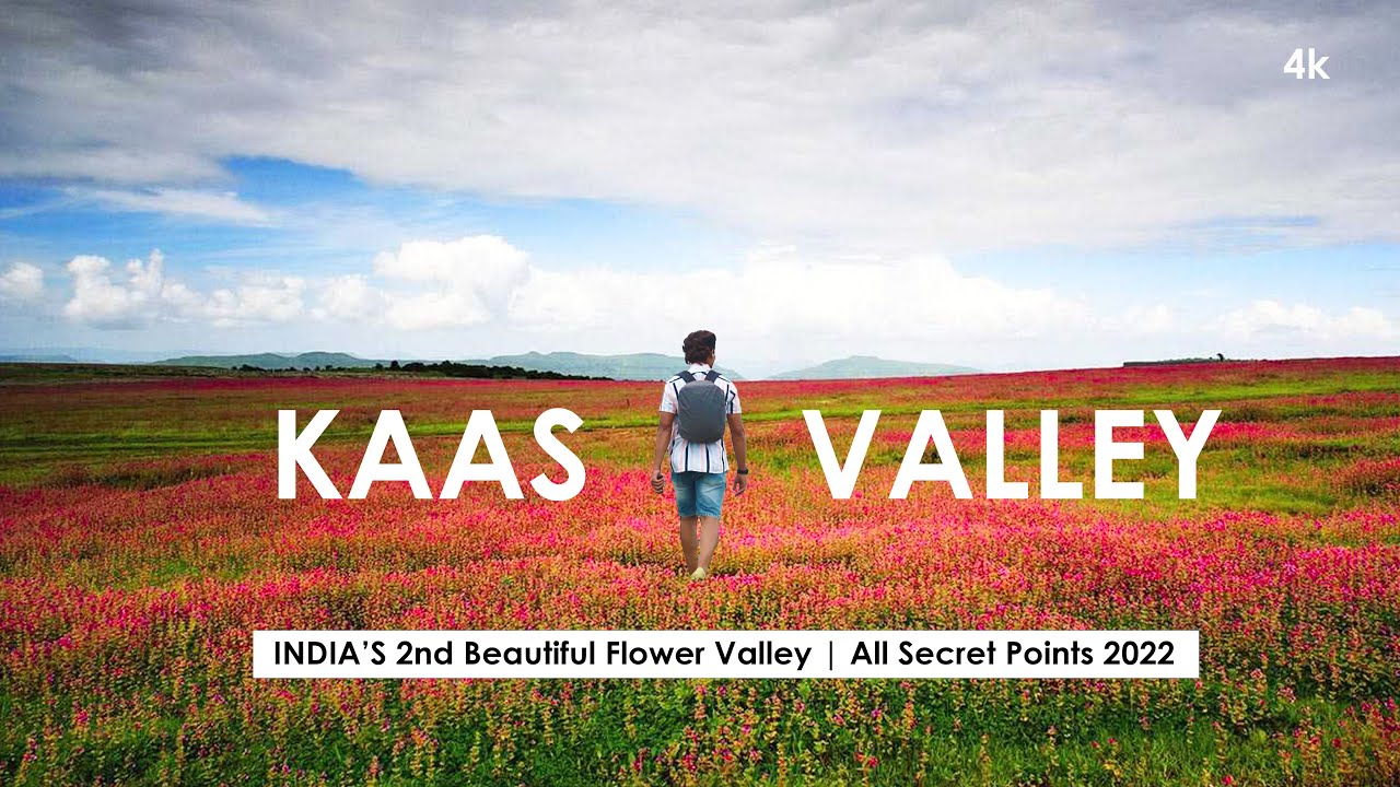 Kaas Pathar India's 2nd Valley of Flowers Secrets of कास पठार YouTube