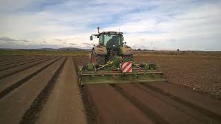 Lothar-P Con Baulatore