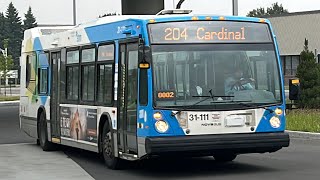 Ride on STM route 204 (#31-111)